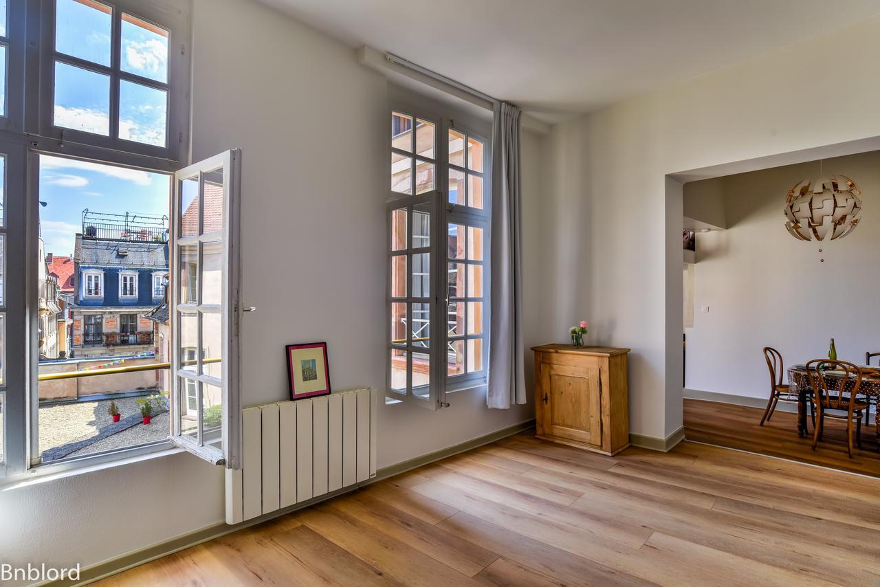 Bel Appartement Hypercentre De Strasbourg Eksteriør billede